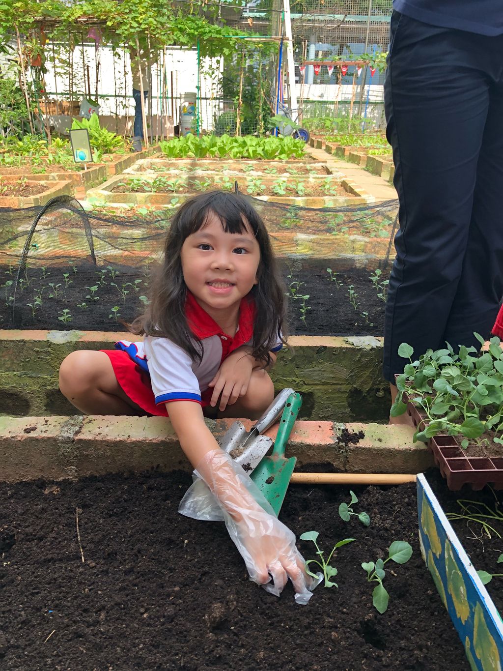 SSDB: Go Green and Save the Earth — photo 8