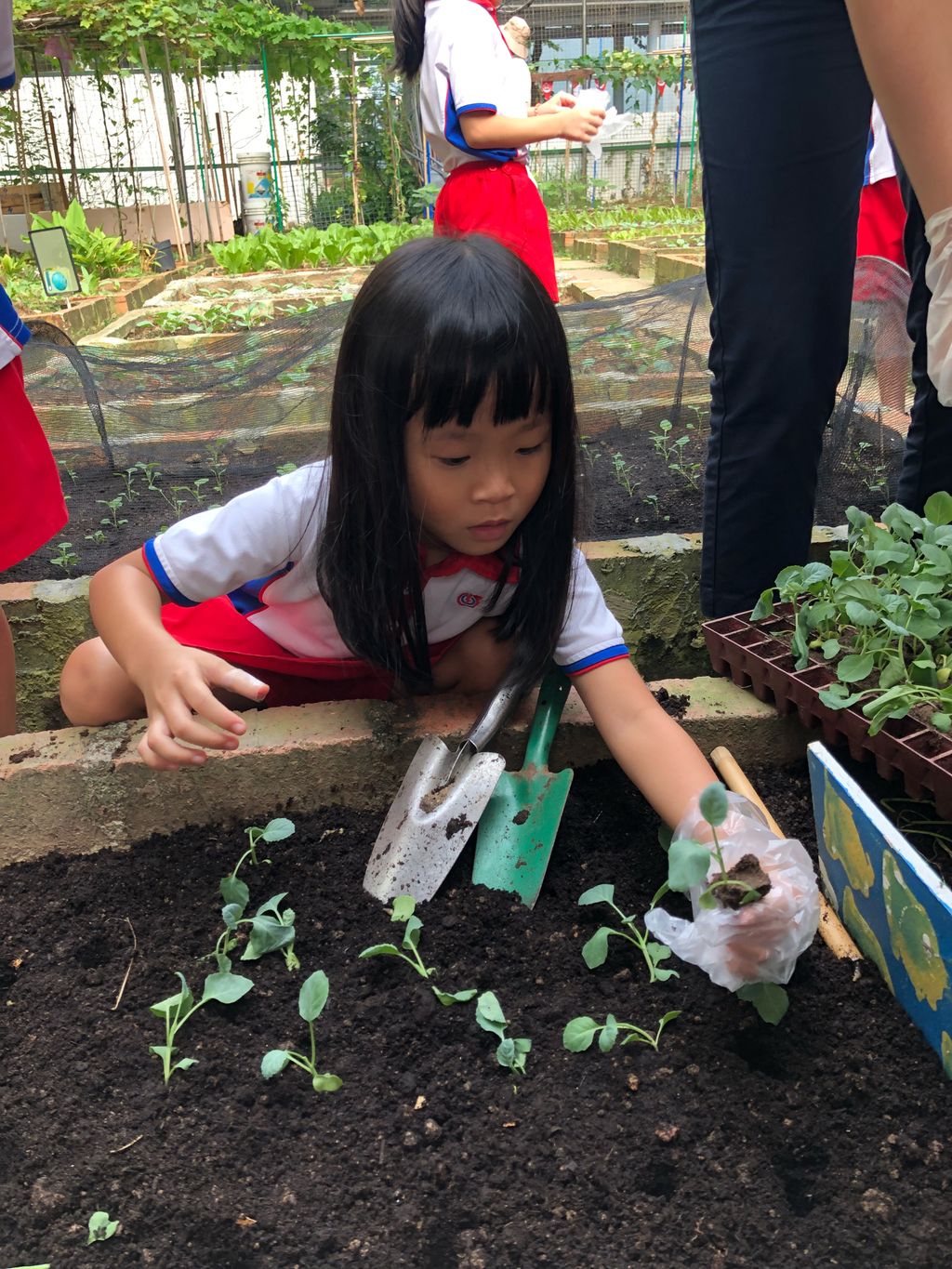 SSDB: Go Green and Save the Earth — photo 9