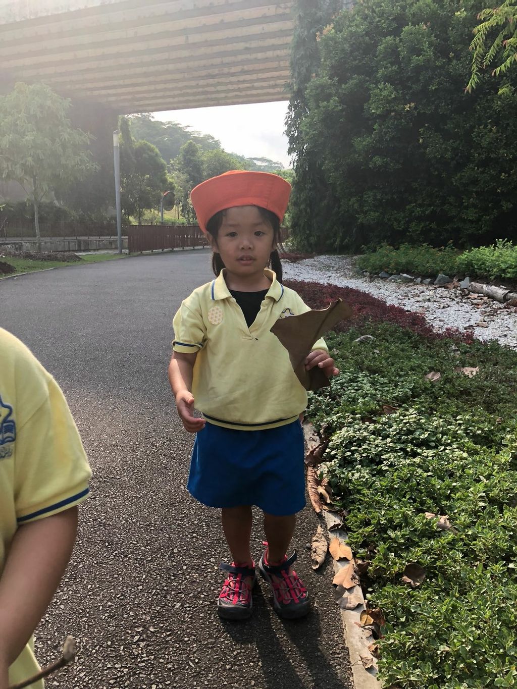 NurtureStars Punggol nurturing Punggol Waterway Park through pruning & park clean up in August 2018! — photo 2