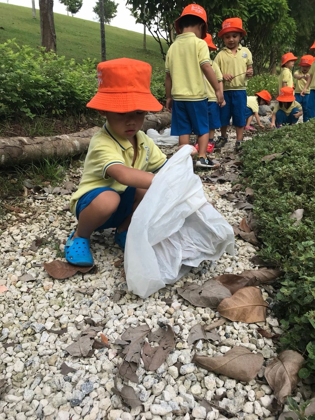 NurtureStars Punggol nurturing Punggol Waterway Park through pruning & park clean up in August 2018! — photo 3