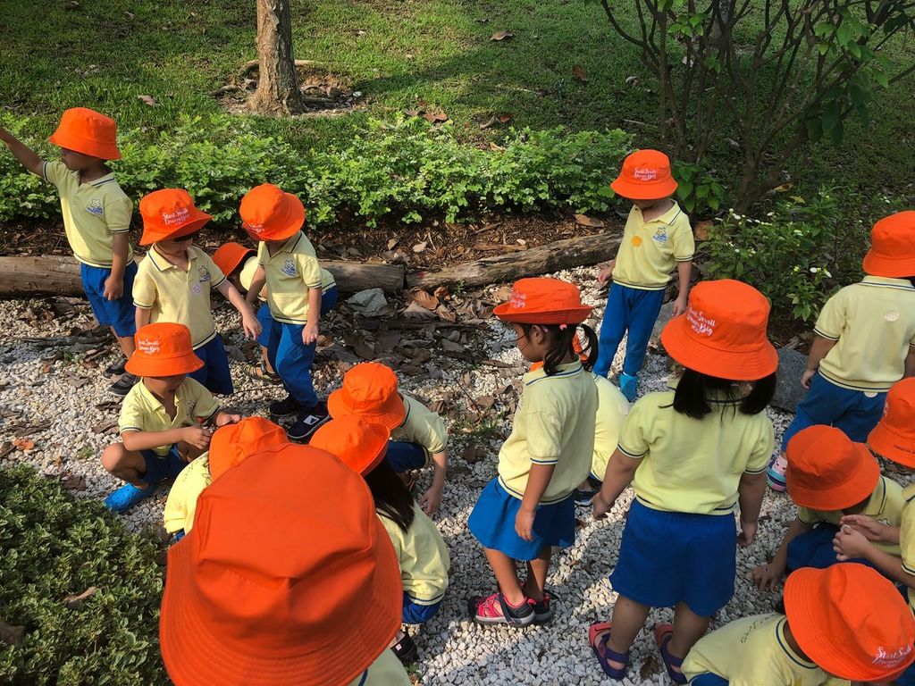 NurtureStars Punggol nurturing Punggol Waterway Park through pruning & park clean up in August 2018! — photo 9