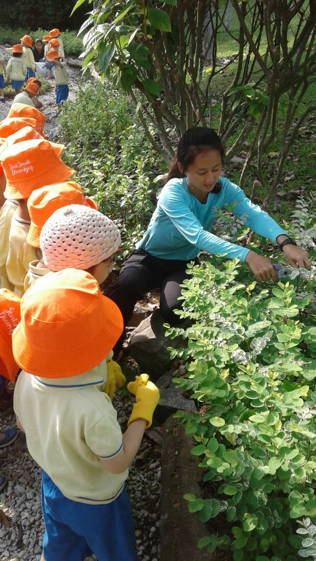 NurtureStars Punggol nurturing Punggol Waterway Park through pruning & park clean up in August 2018! — photo 2