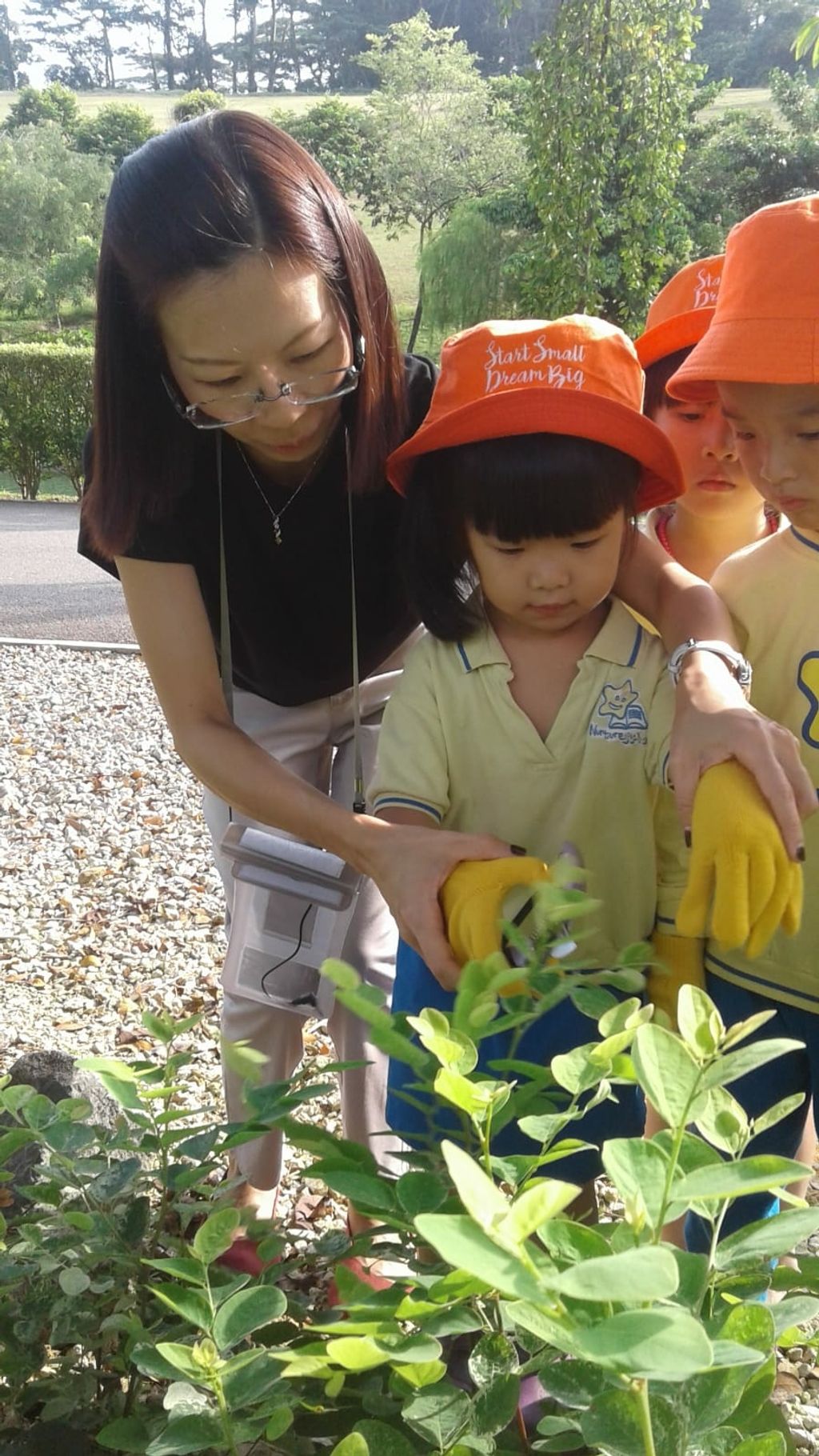 NurtureStars Punggol nurturing Punggol Waterway Park through pruning & park clean up in August 2018! — photo 4