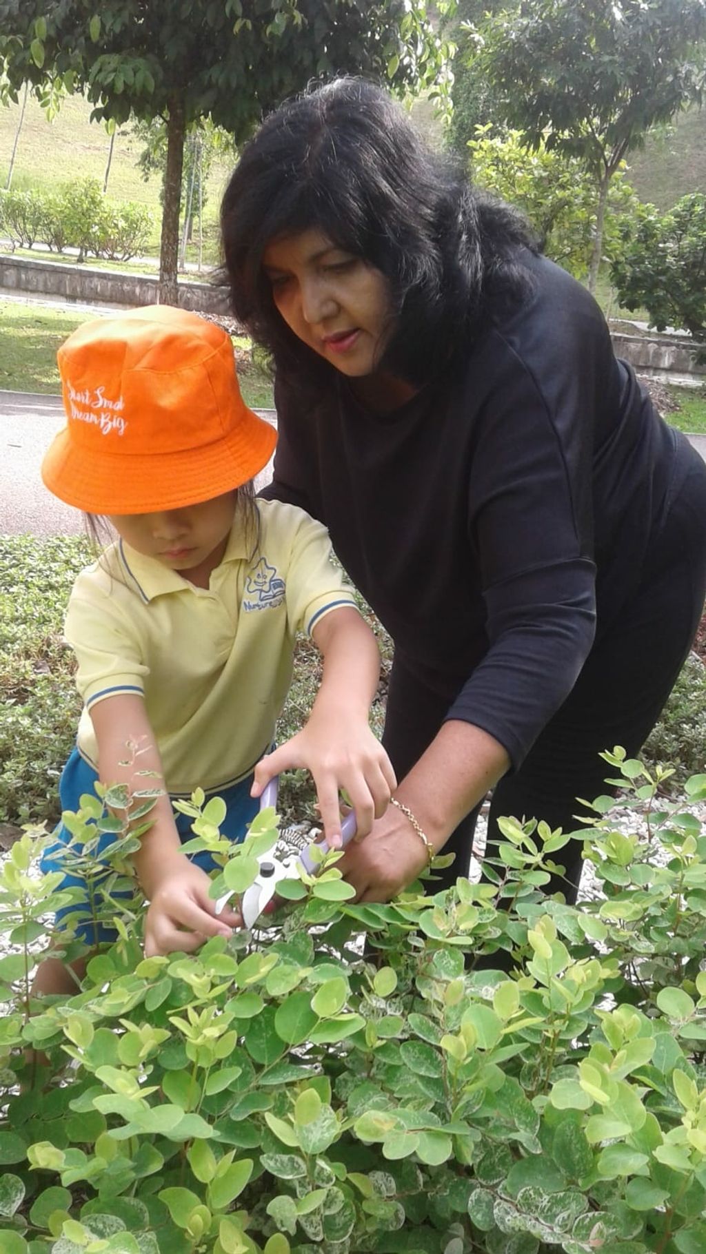 NurtureStars Punggol nurturing Punggol Waterway Park through pruning & park clean up in August 2018! — photo 5