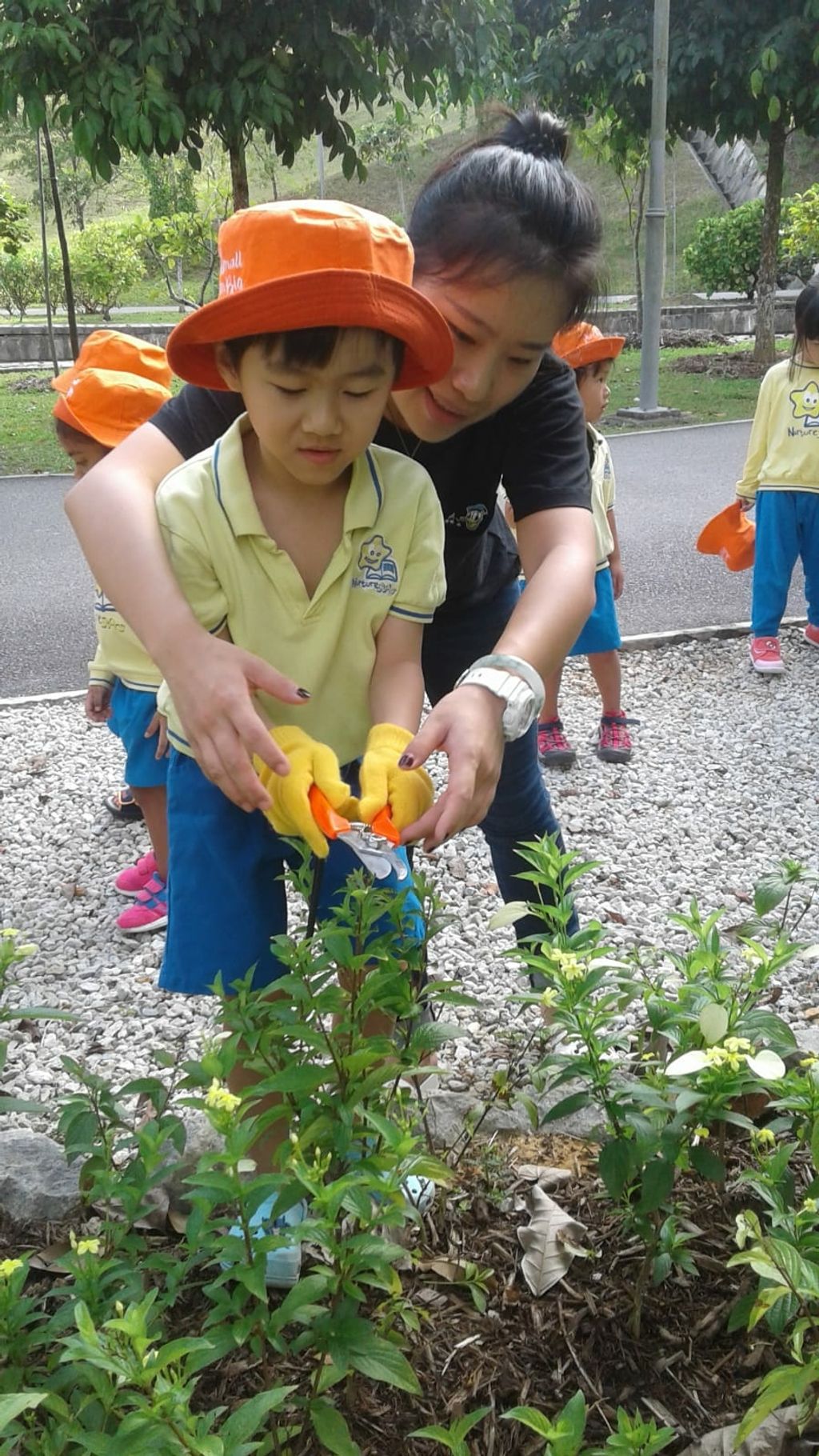NurtureStars Punggol nurturing Punggol Waterway Park through pruning & park clean up in August 2018! — photo 6