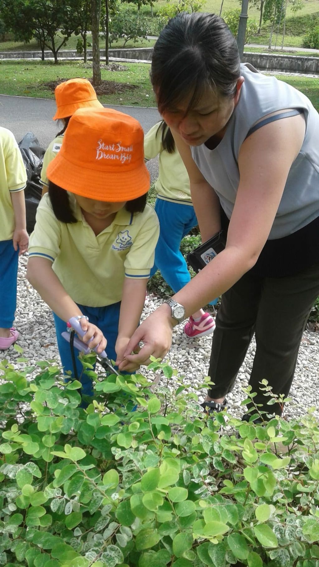 NurtureStars Punggol nurturing Punggol Waterway Park through pruning & park clean up in August 2018! — photo 8