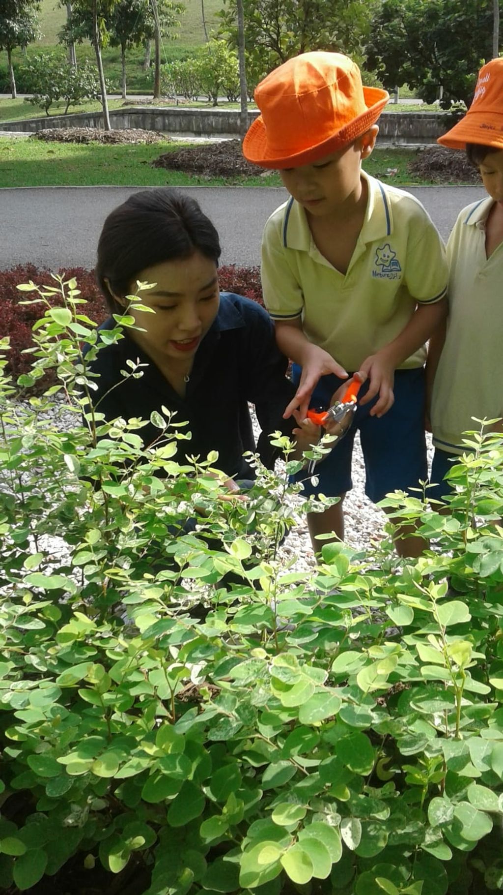 NurtureStars Punggol nurturing Punggol Waterway Park through pruning & park clean up in August 2018! — photo 9