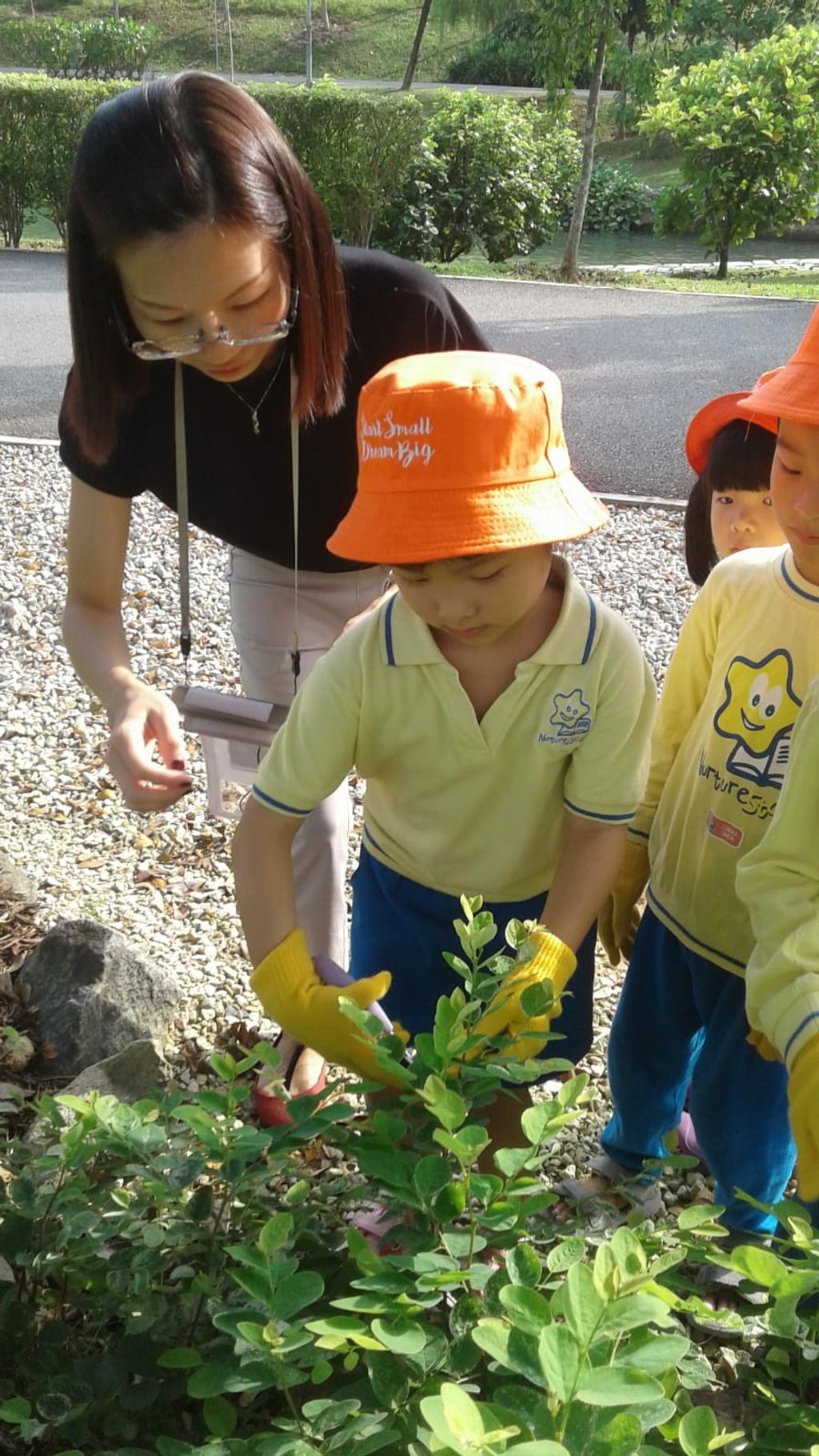 NurtureStars Punggol nurturing Punggol Waterway Park through pruning & park clean up in August 2018! — photo 1