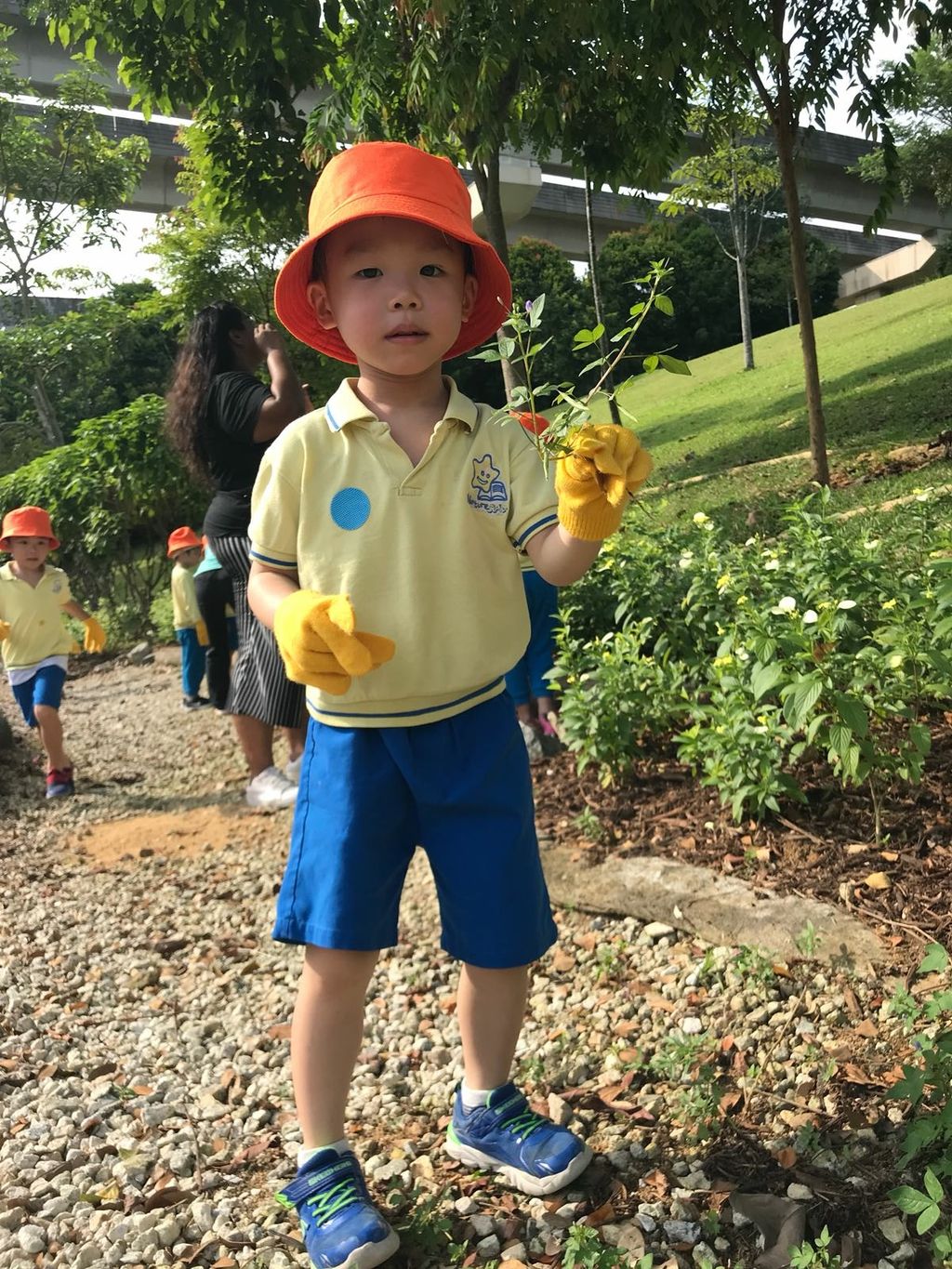 NurtureStars Punggol nurturing Punggol Waterway Park through pruning & park clean up in August 2018! — photo 4