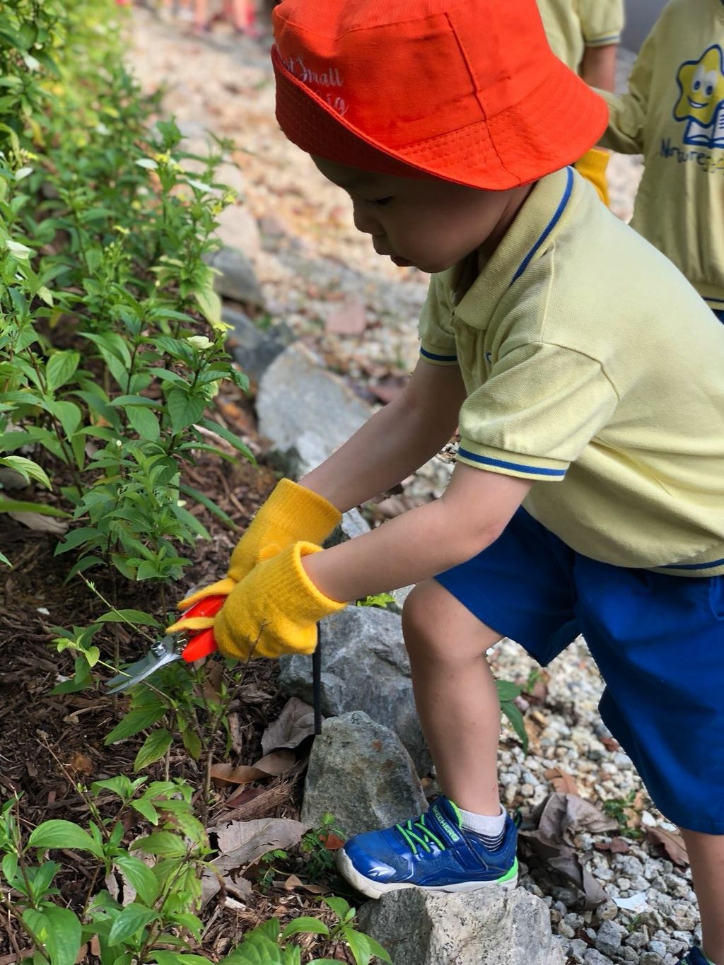 NurtureStars Punggol nurturing Punggol Waterway Park through pruning & park clean up in August 2018! — photo 5