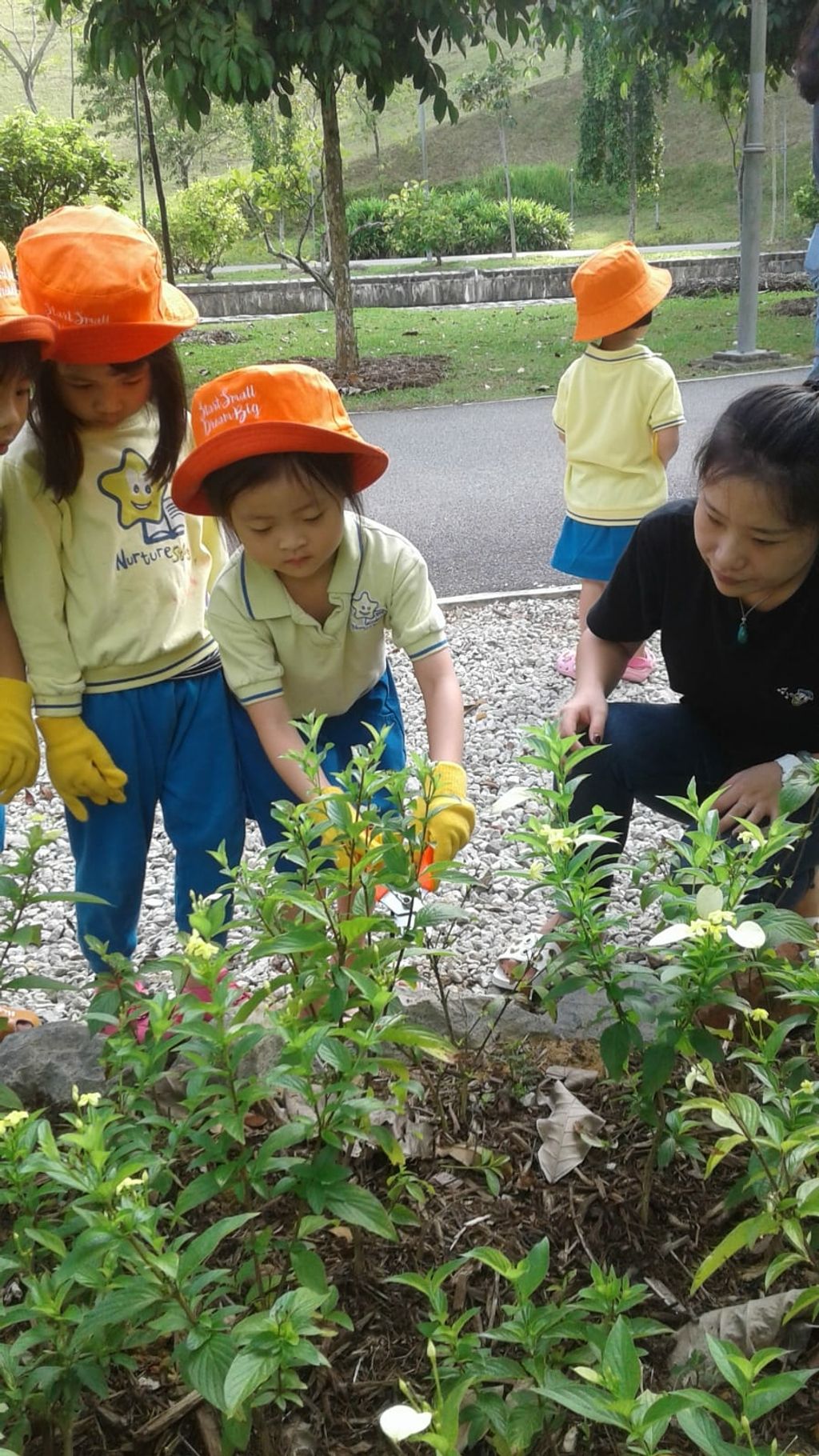 NurtureStars Punggol nurturing Punggol Waterway Park through pruning & park clean up in August 2018! — photo 6