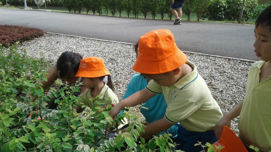 NurtureStars Punggol nurturing Punggol Waterway Park through pruning & park clean up in August 2018! — photo 7