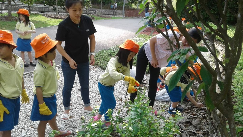 NurtureStars Punggol nurturing Punggol Waterway Park through pruning & park clean up in August 2018! — photo 8