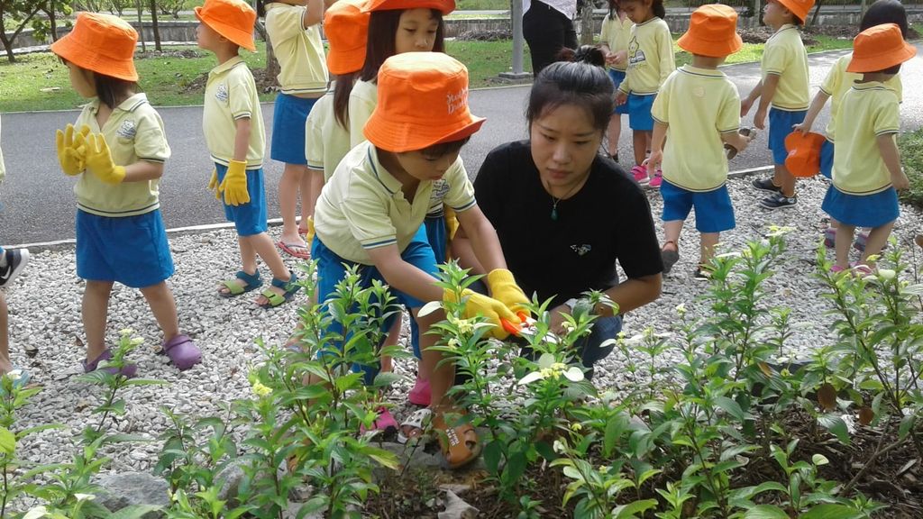 NurtureStars Punggol nurturing Punggol Waterway Park through pruning & park clean up in August 2018! — photo 9
