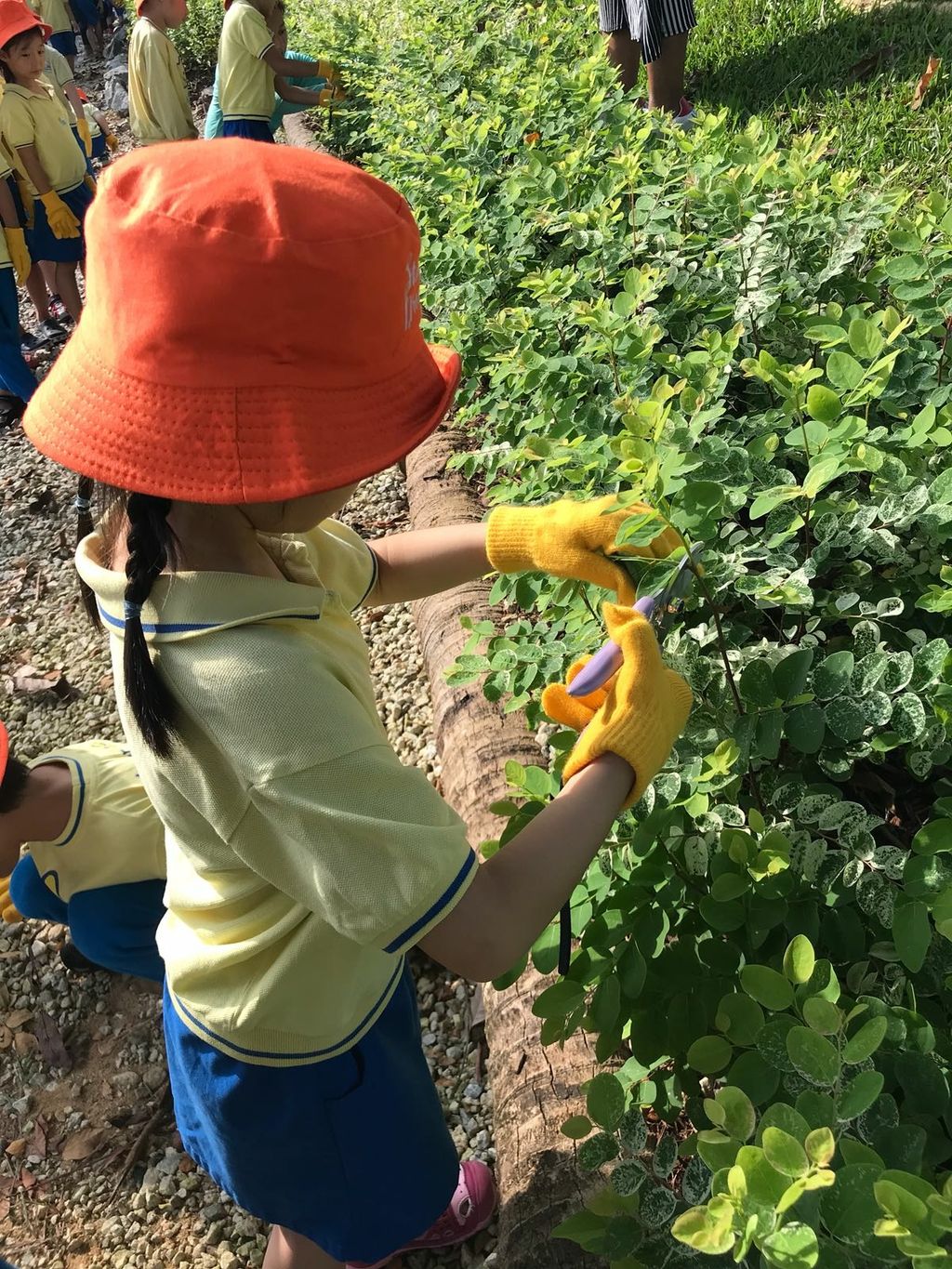 NurtureStars Punggol nurturing Punggol Waterway Park through pruning & park clean up in August 2018! — photo 11