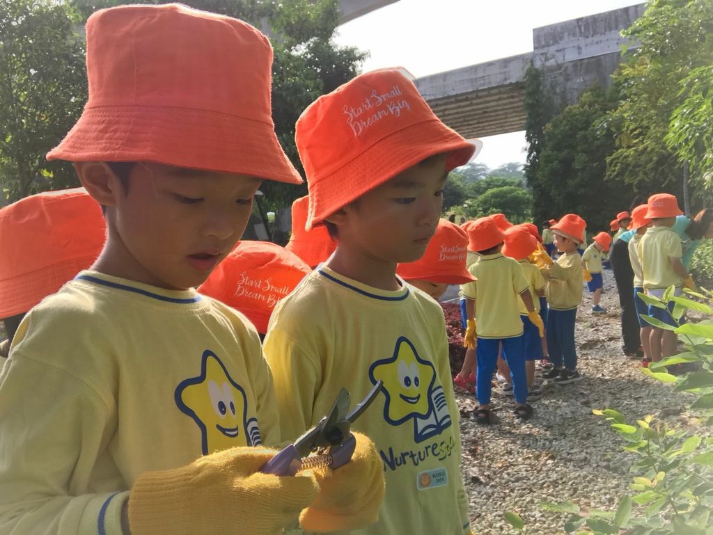 NurtureStars Punggol nurturing Punggol Waterway Park through pruning & park clean up in August 2018! — photo 14