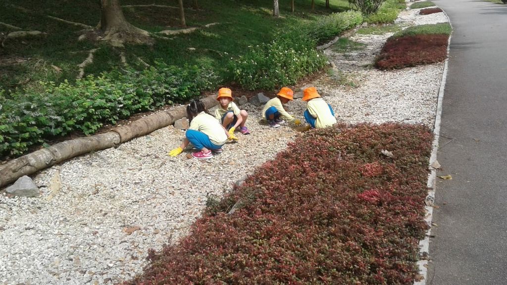 NurtureStars Punggol nurturing Punggol Waterway Park through pruning & park clean up in August 2018! — photo 15