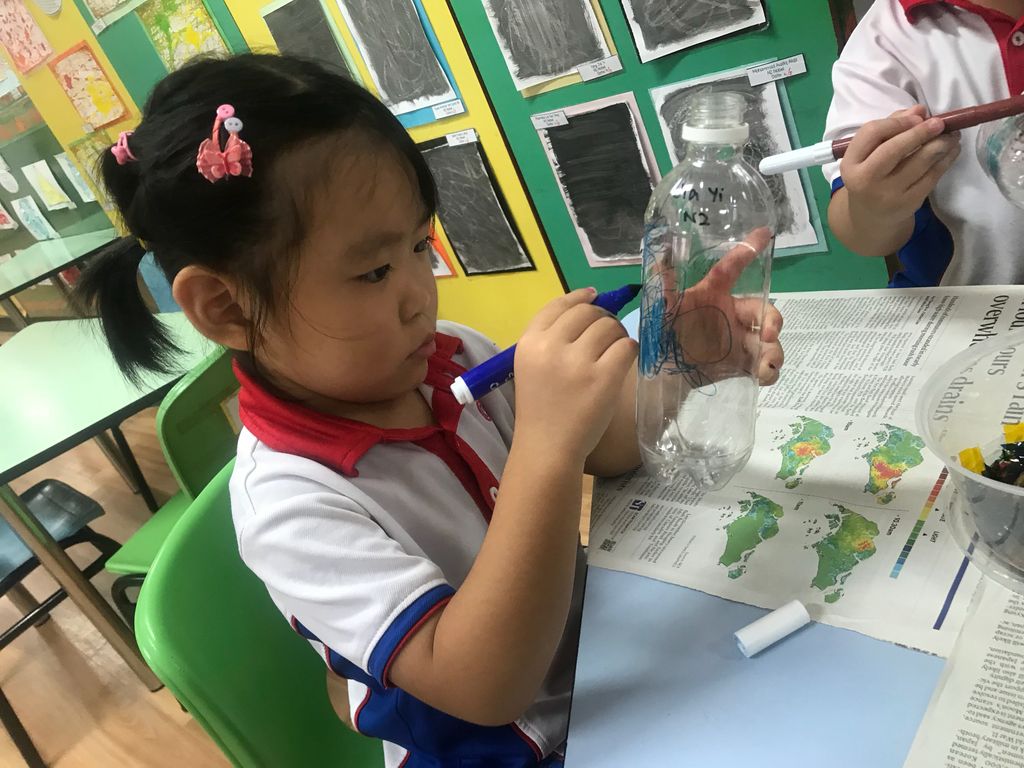 Upcycling our water bottles through planting — photo 2