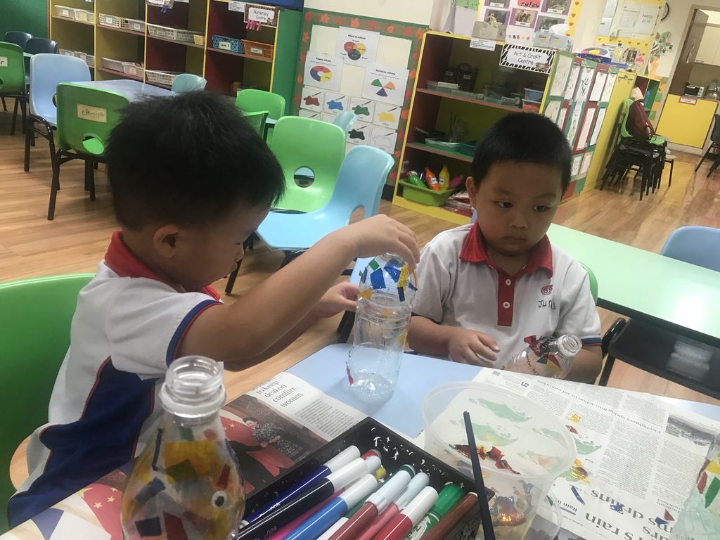 Upcycling our water bottles through planting — photo 10