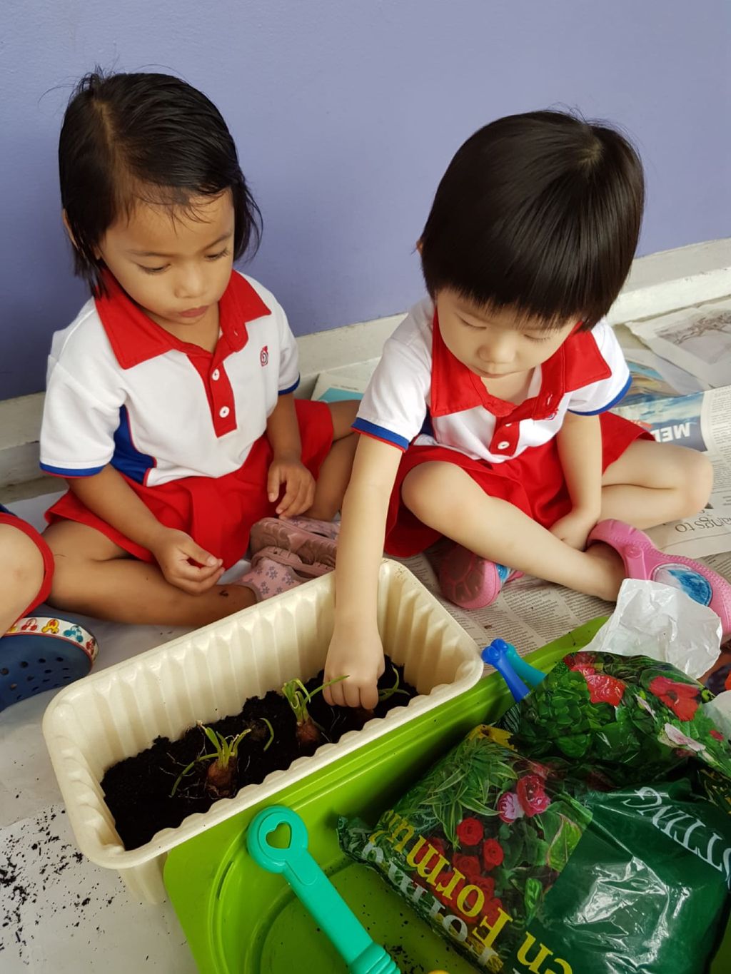 Upcycling our water bottles through planting — photo 11