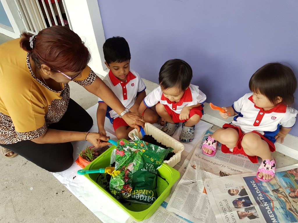 Upcycling our water bottles through planting — photo 14