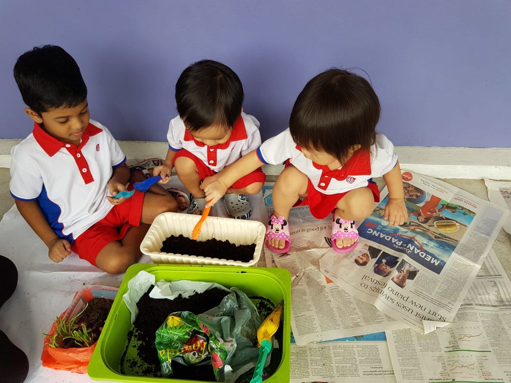 Upcycling our water bottles through planting — photo 15