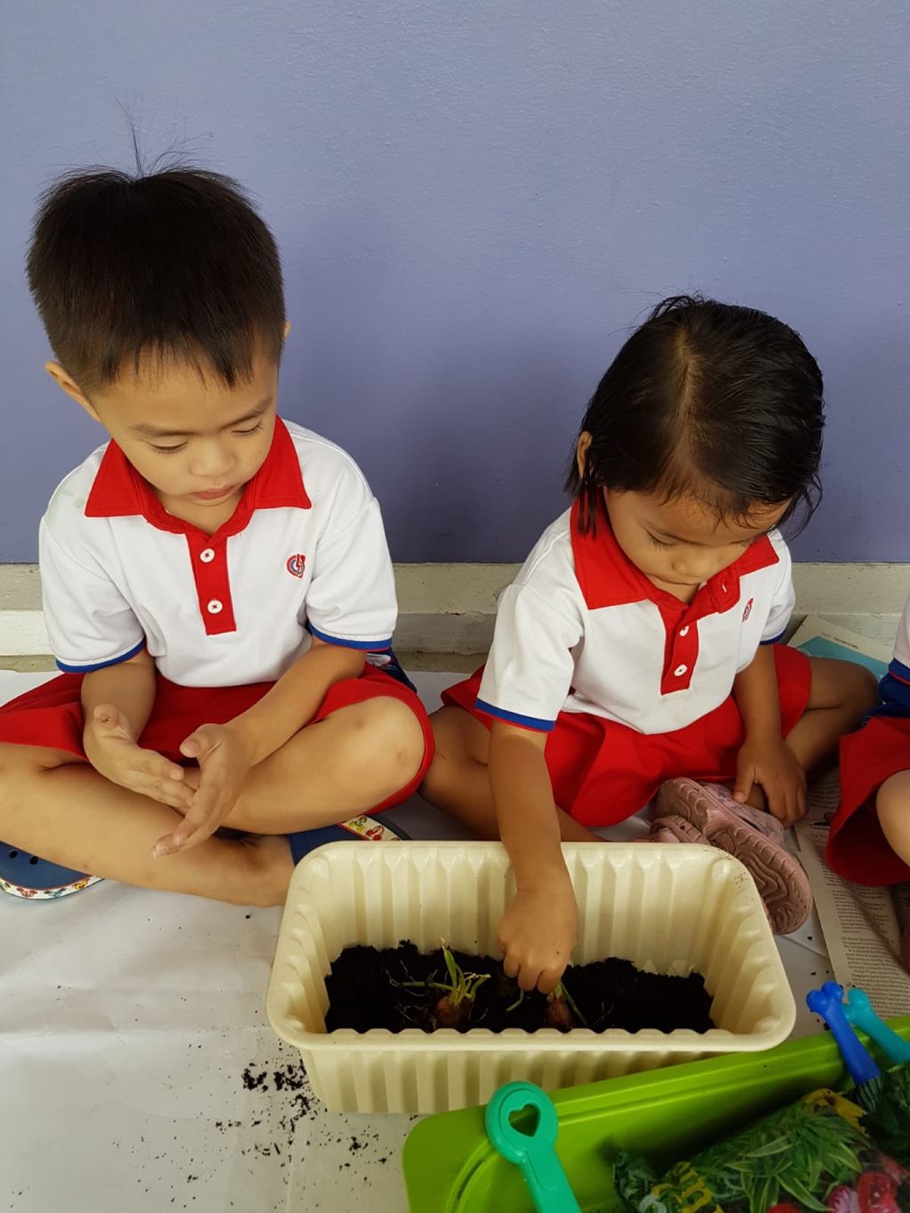 Upcycling our water bottles through planting — photo 21