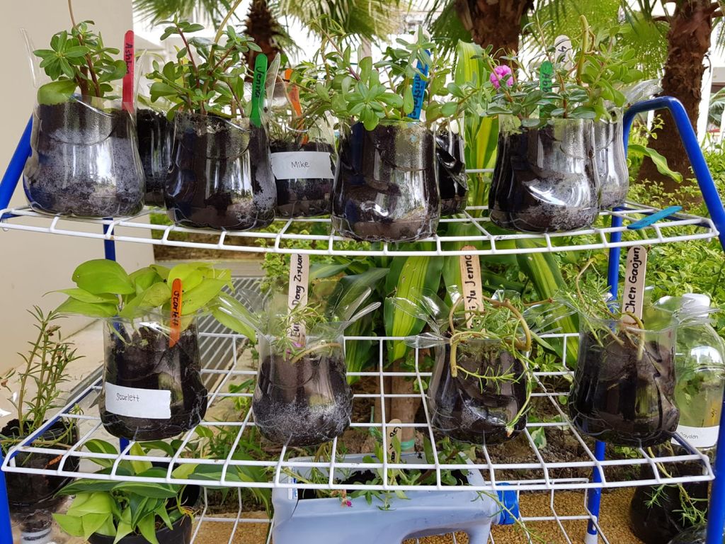 N2, K1 and K2 - A Small Step To Save Mother Earth (MY World @ Yishun Palm Breeze) — photo 8