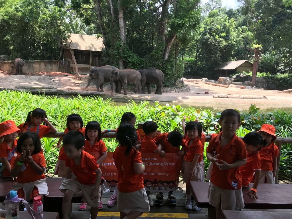 Field Trip to Singapore Zoo: Elephants of Asia Show — photo 2