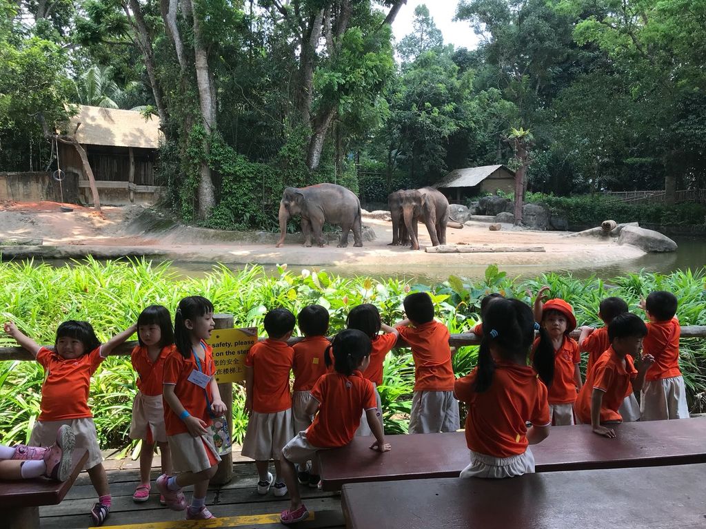 Field Trip to Singapore Zoo: Elephants of Asia Show — photo 4