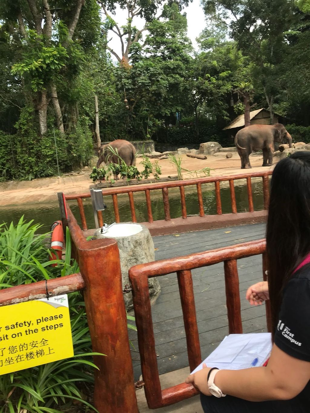 Field Trip to Singapore Zoo: Elephants of Asia Show — photo 5