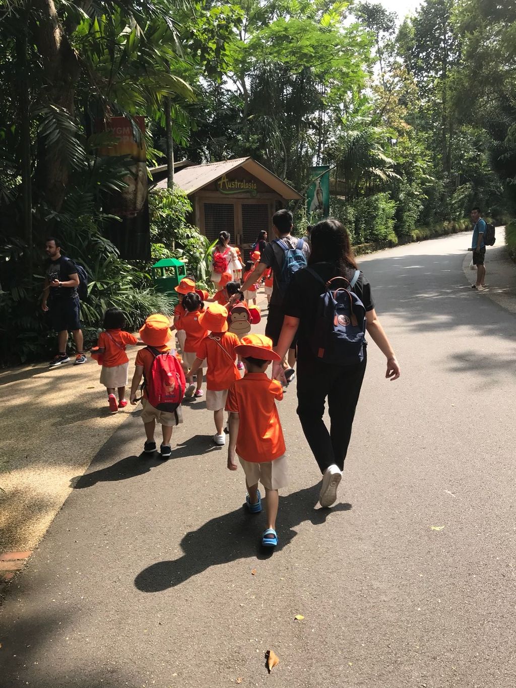 Field Trip to Singapore Zoo: Elephants of Asia Show — photo 7