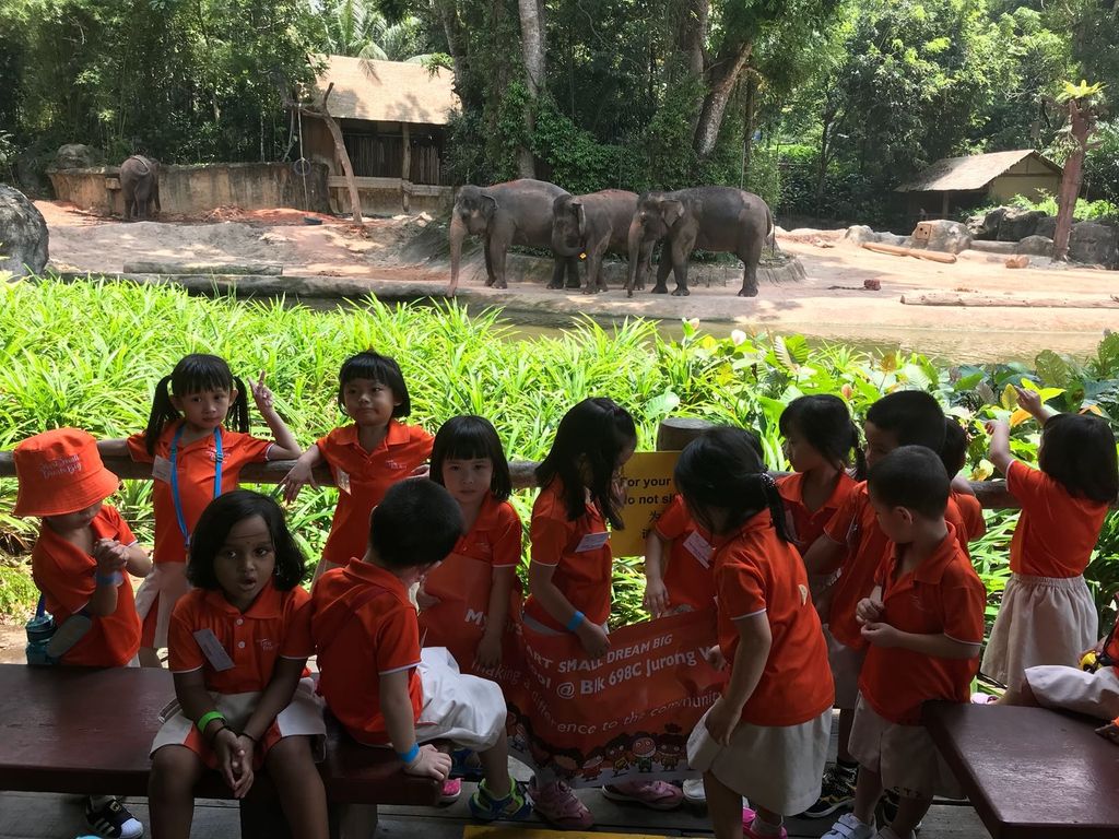 Field Trip to Singapore Zoo: Elephants of Asia Show — photo 10