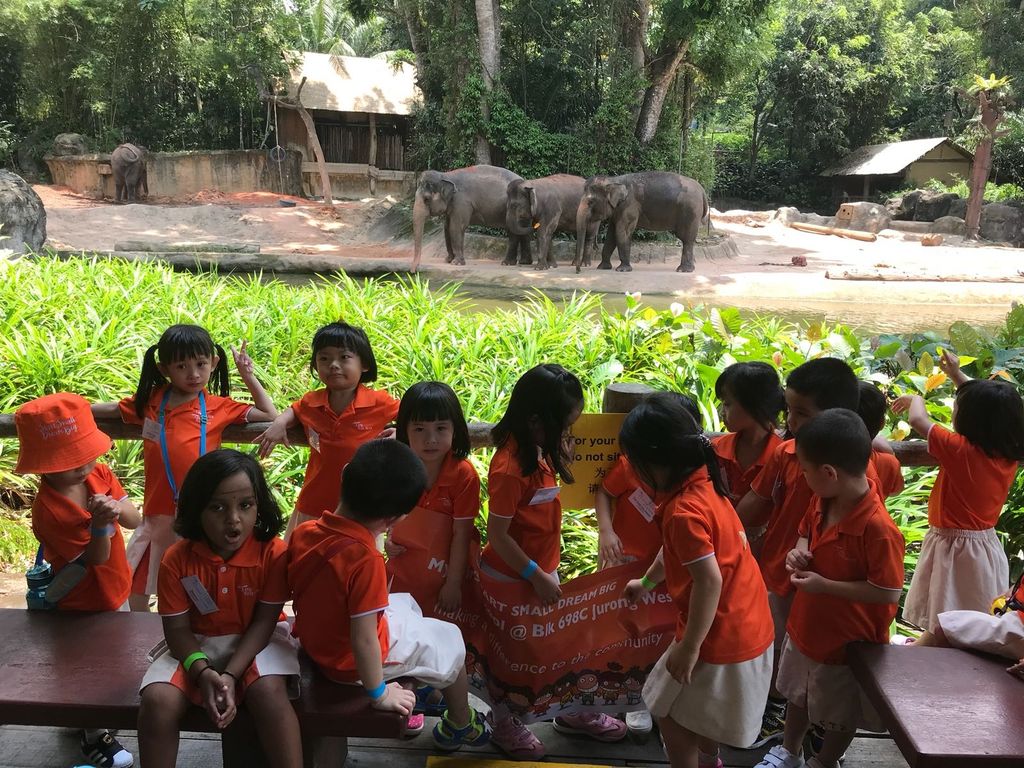 Field Trip to Singapore Zoo: Elephants of Asia Show — photo 13