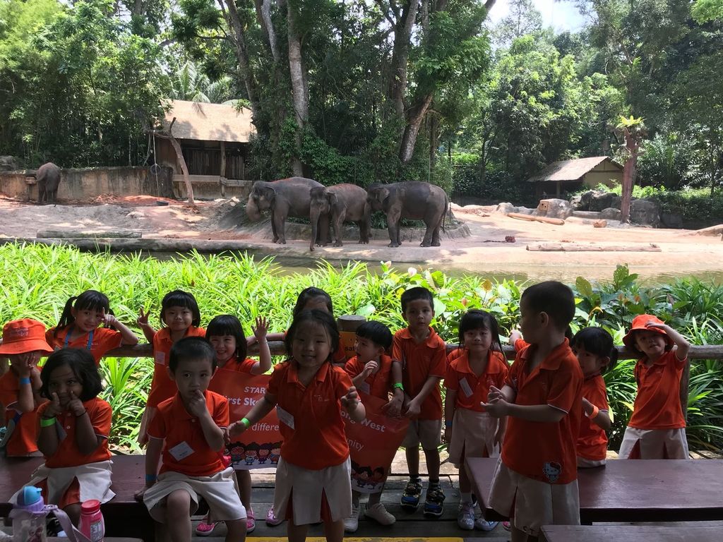 Field Trip to Singapore Zoo: Elephants of Asia Show — photo 14