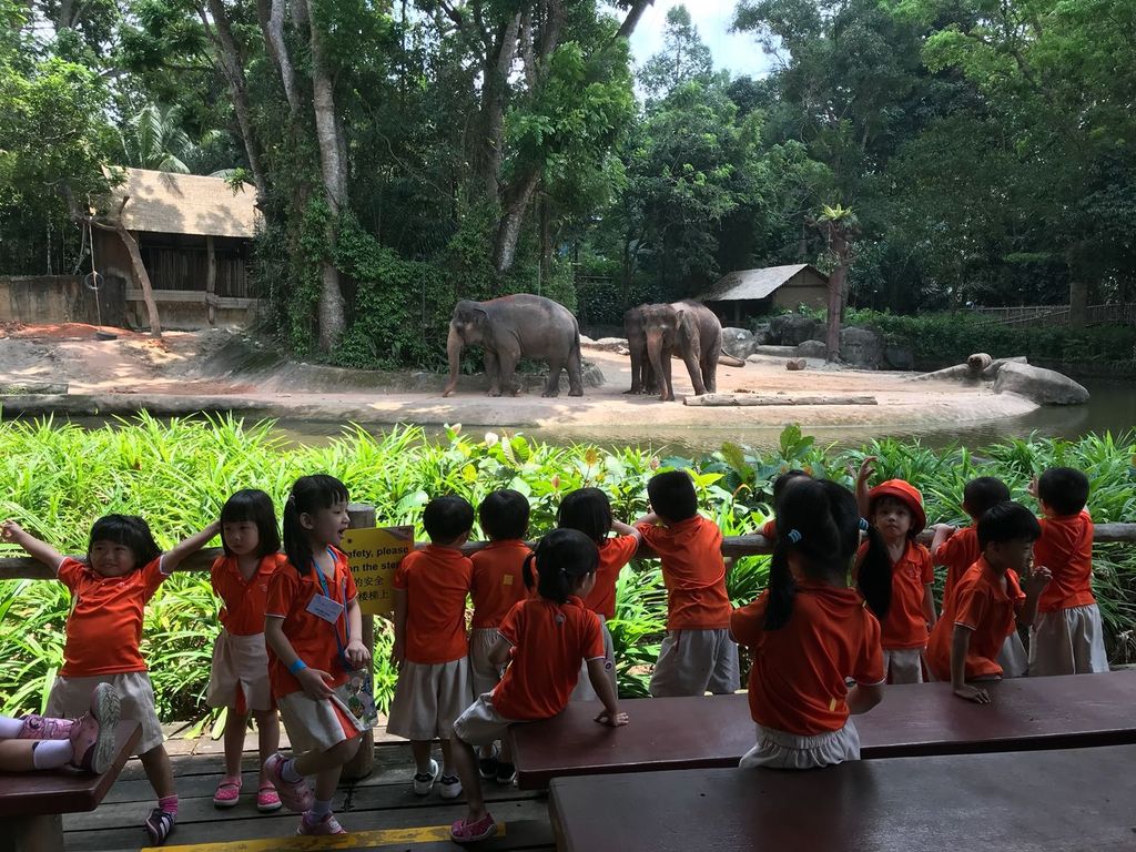 Field Trip to Singapore Zoo: Elephants of Asia Show — photo 15