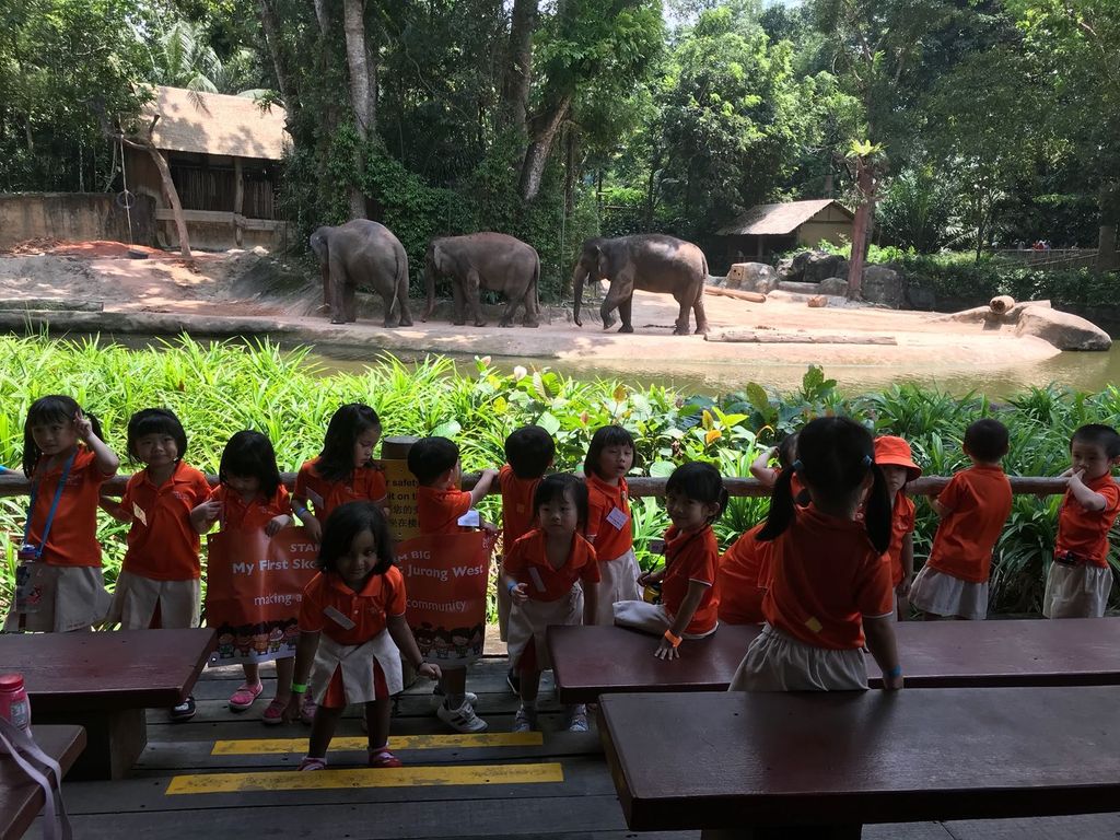 Field Trip to Singapore Zoo: Elephants of Asia Show — photo 16
