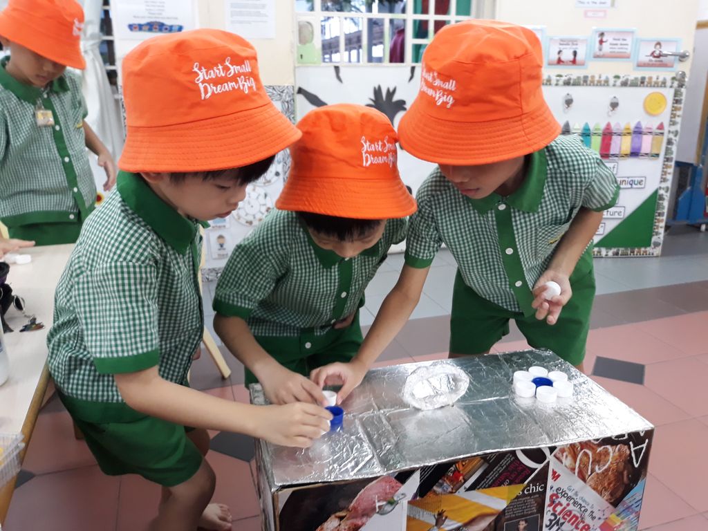 Our Recycling Collection Boxes — photo 4