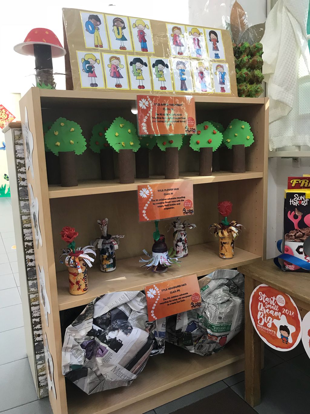 Little World’s SSDB Corner — photo 6