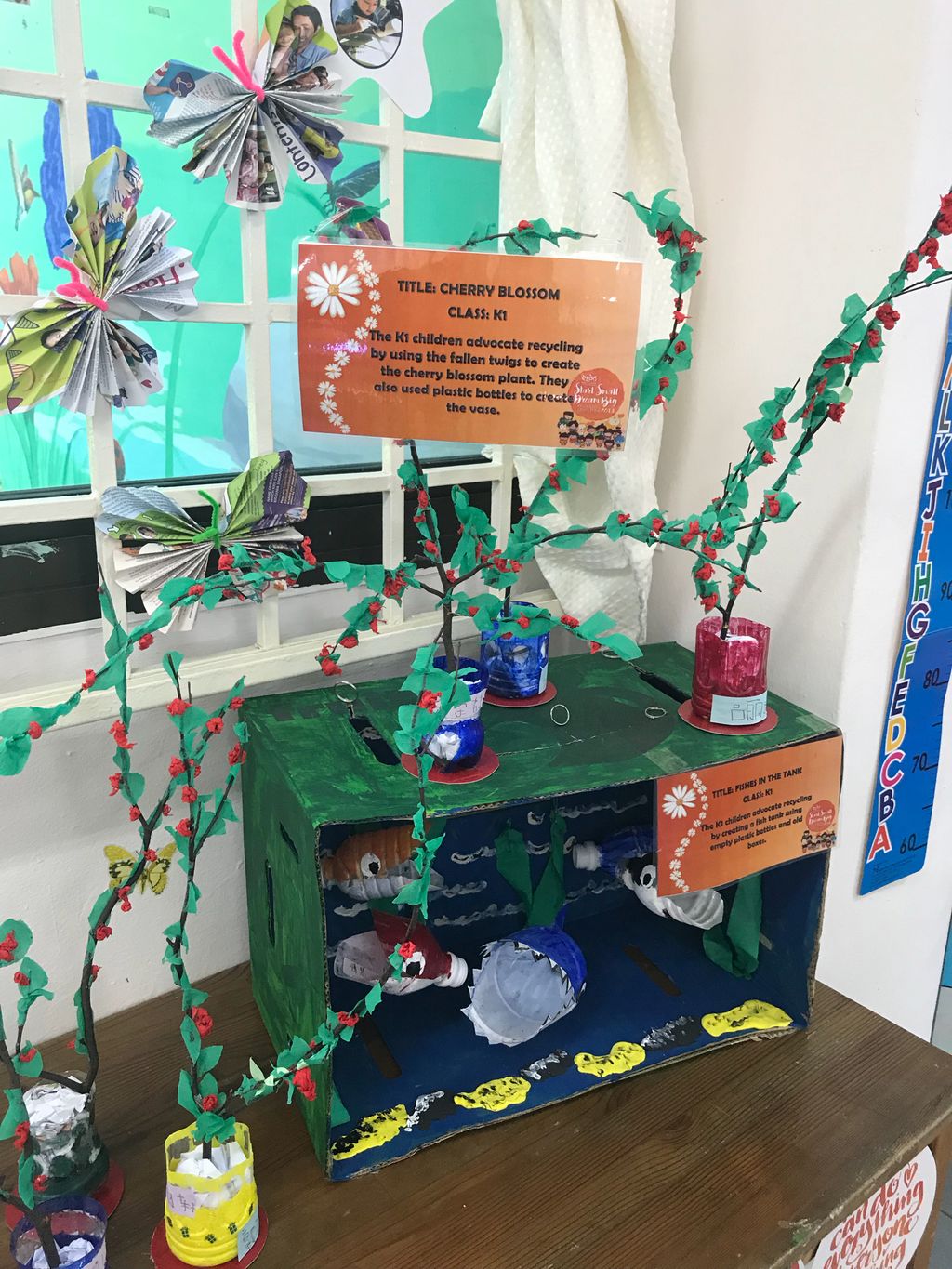 Little World’s SSDB Corner — photo 7