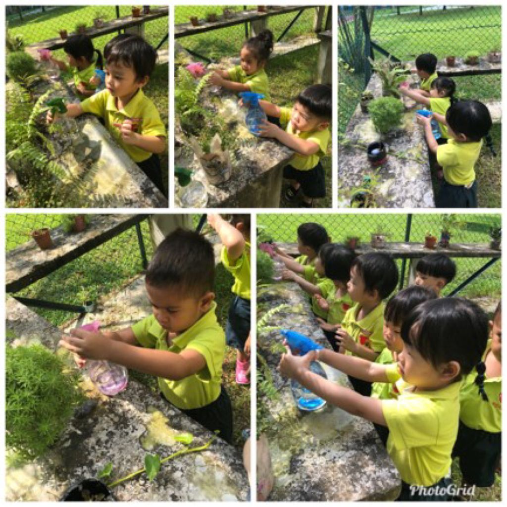 Caring for Plants
