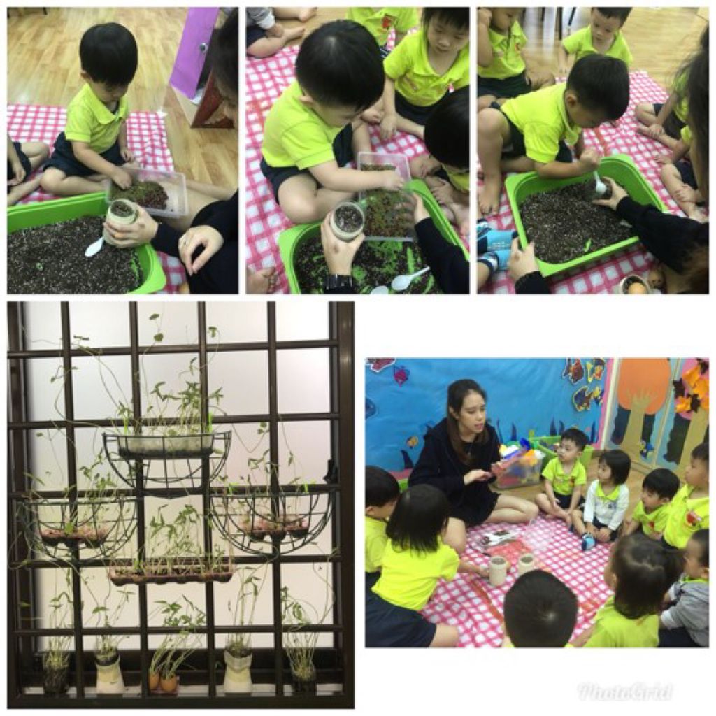 Using Recycled Materials to Grow Beans