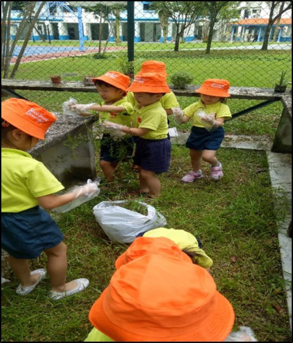 Preserving our Garden — photo 2