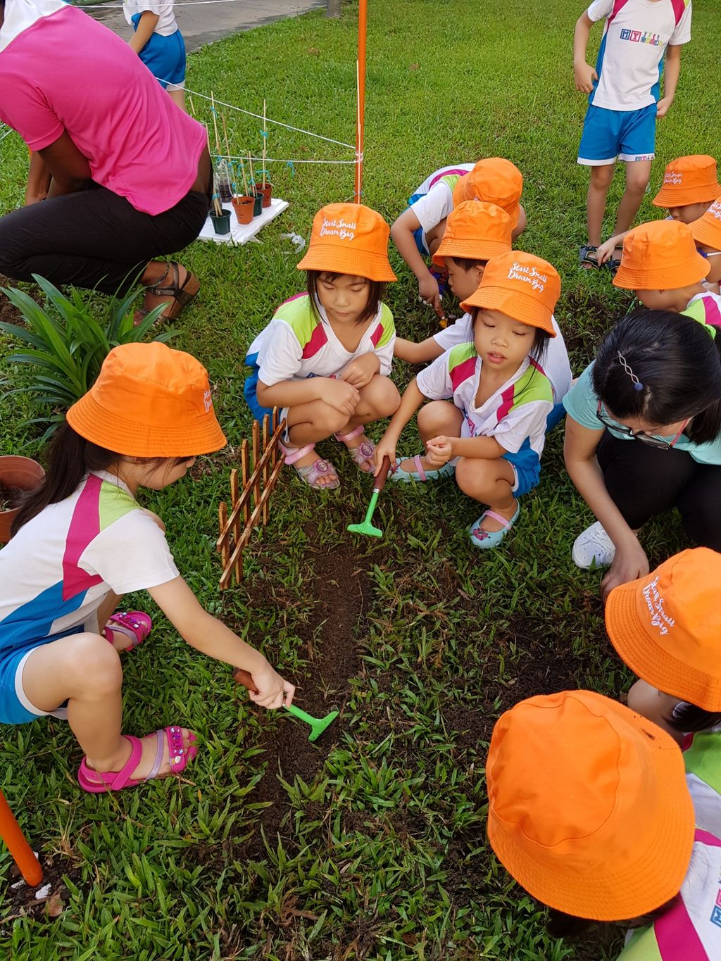 Little Green Hands @ work by MY World @Tampines Changkat
