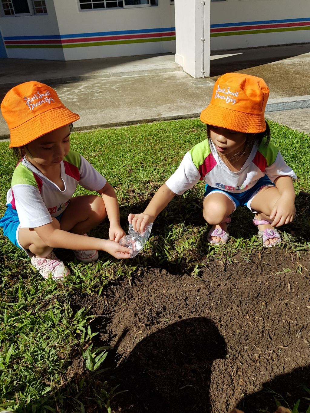 Little Green Hands @ work by MY World @Tampines Changkat — photo 5