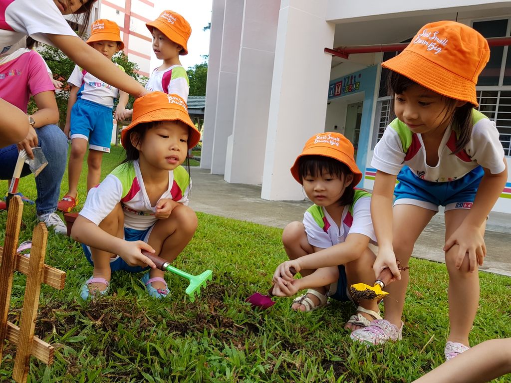 Little Green Hands @ work by MY World @Tampines Changkat — photo 7