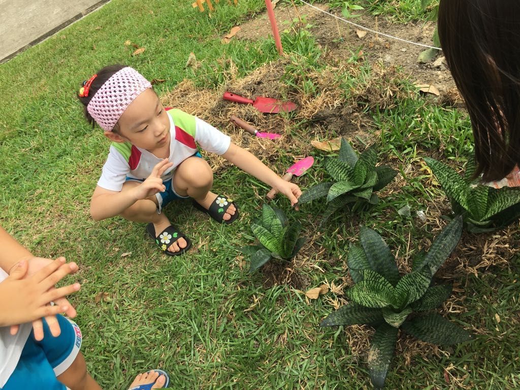 Little Green Hands @ work by MY World @Tampines Changkat — photo 9