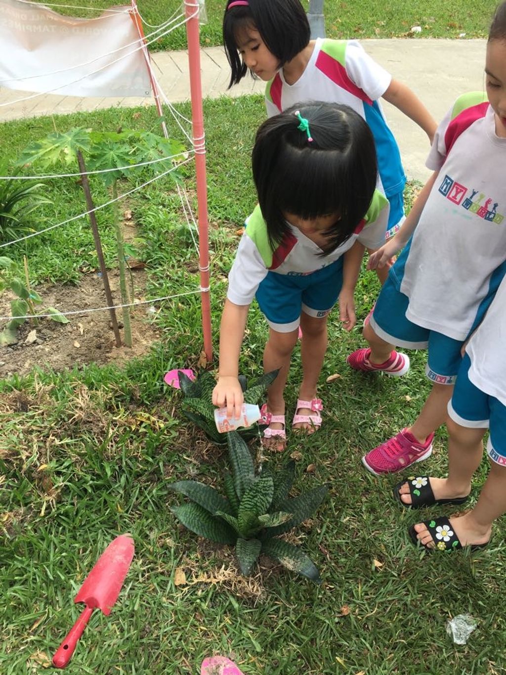 Little Green Hands @ work by MY World @Tampines Changkat — photo 10