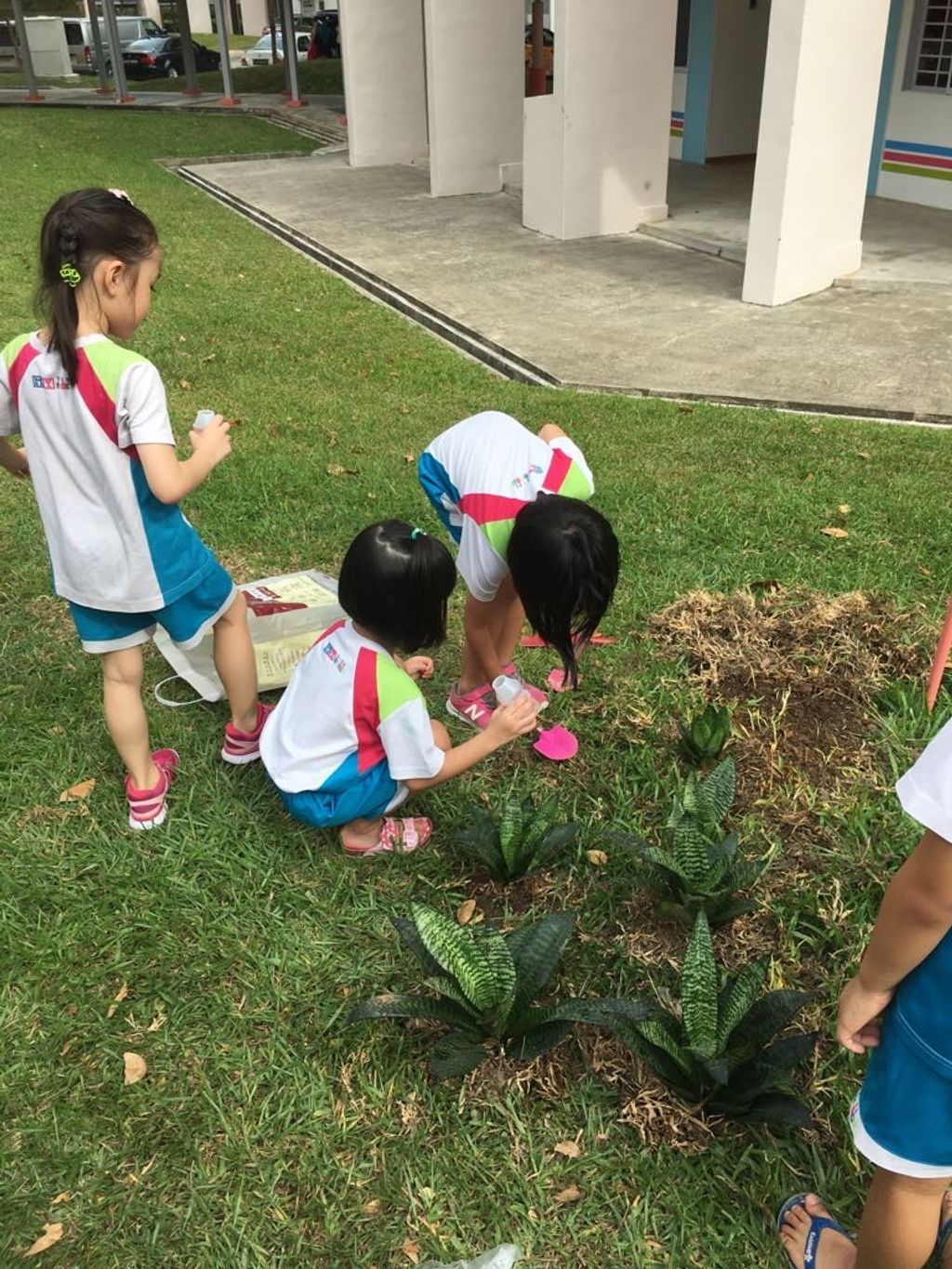 Little Green Hands @ work by MY World @Tampines Changkat — photo 11