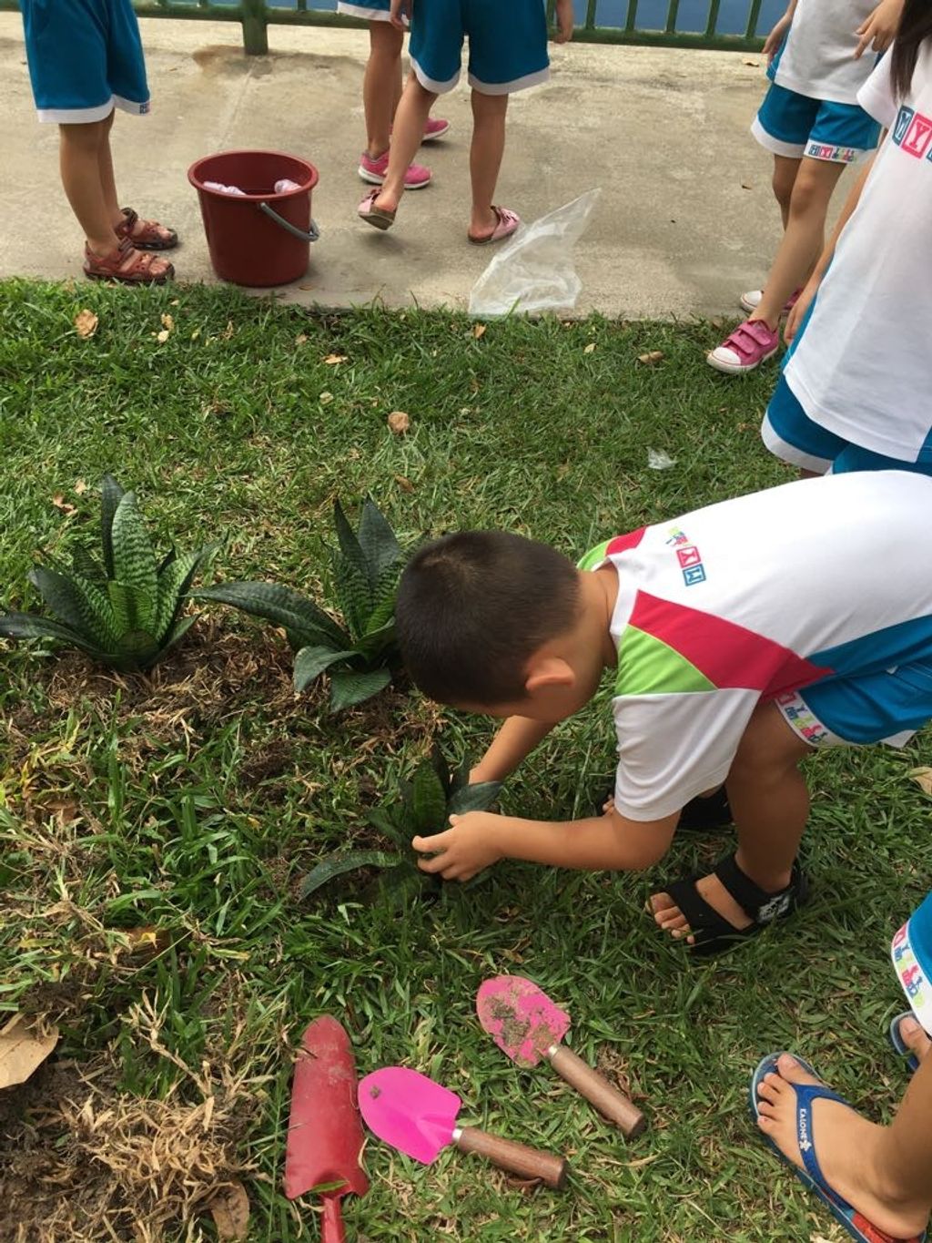 Little Green Hands @ work by MY World @Tampines Changkat — photo 12